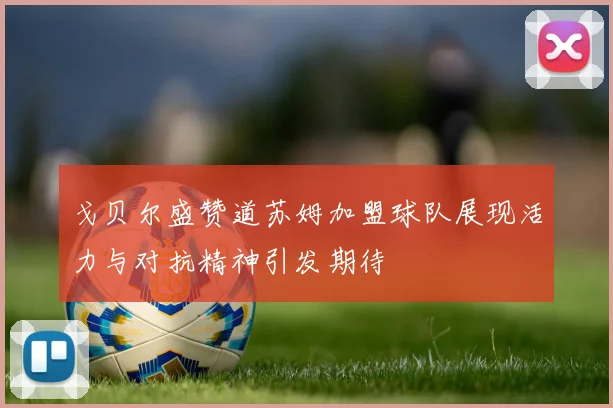 戈贝尔盛赞道苏姆加盟球队展现活力与对抗精神引发期待