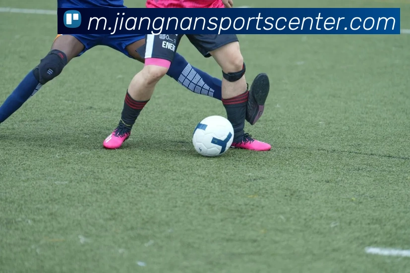 多媒体互动体验